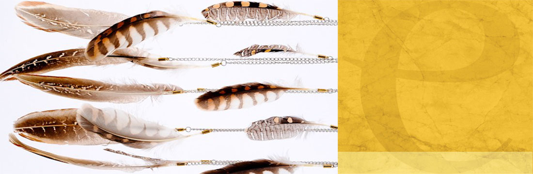 Plumes-Ornements